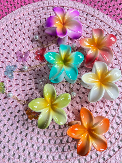 12 ganchos hawaiano con colgante